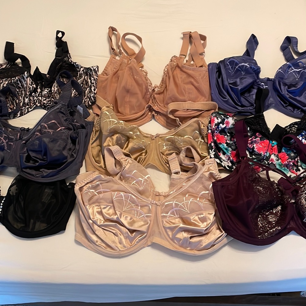 Lot of 12 Elomi bras